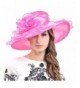 Ladies Kentucky Derby Church Dress Wedding Party Hat - Rose-60 - CM12FJZPHUF